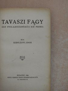 Kodolányi János - Tavaszi fagy [antikvár]