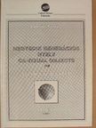 Endrődi Tamás - Negyedik generációs nyelv [antikvár]