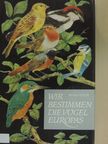 Dr. Wolfgang Makatsch - Wir bestimmen die vögel Europas [antikvár]