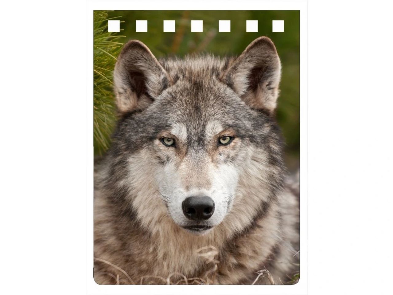 NA714 - Wolf Notebook A7