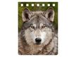 NA714 - Wolf Notebook A7