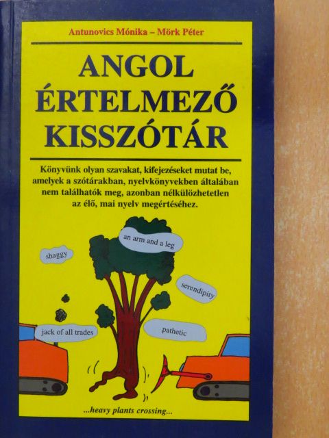 Antunovics Mónika - Angol értelmező kisszótár [antikvár]