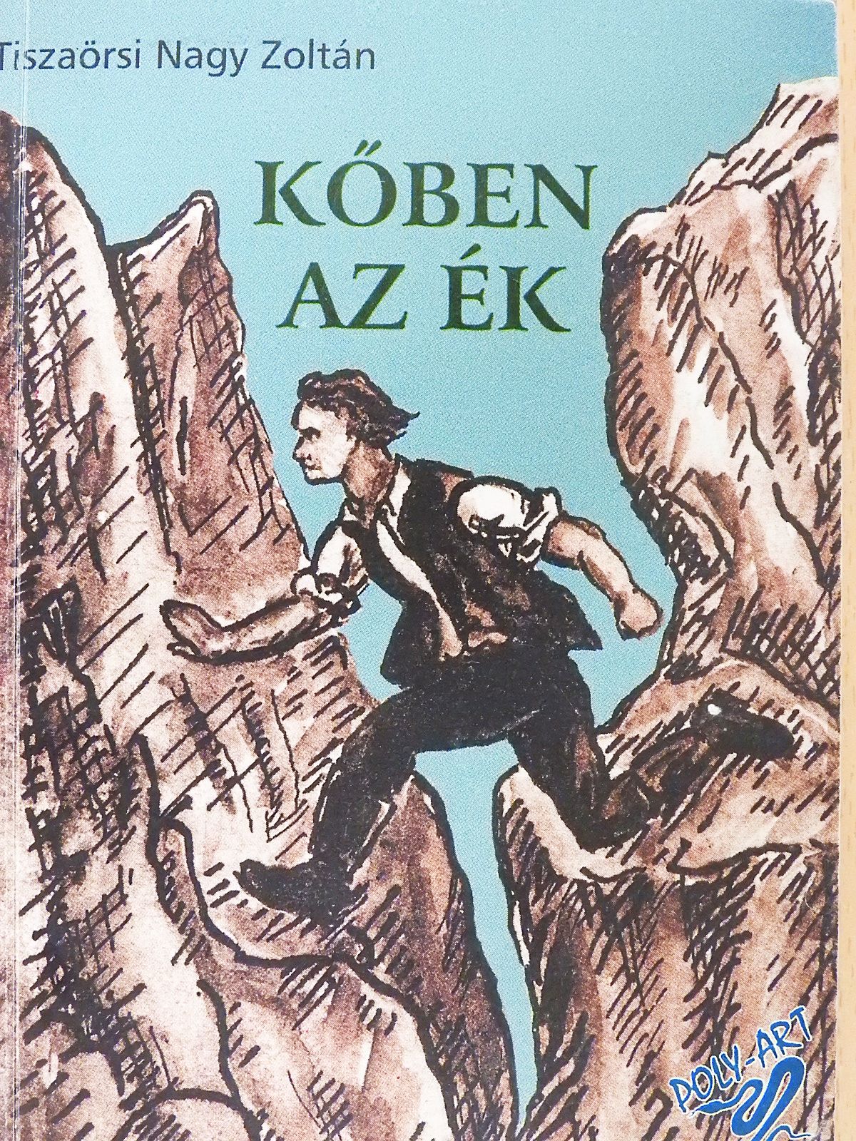 Tiszaörsi Nagy Zoltán - Kőben az ék (dedikált példány) [antikvár]