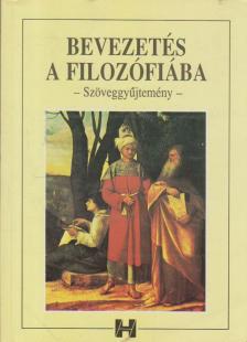 Steiger Kornél - Bevezetés a filozófiába [antikvár]