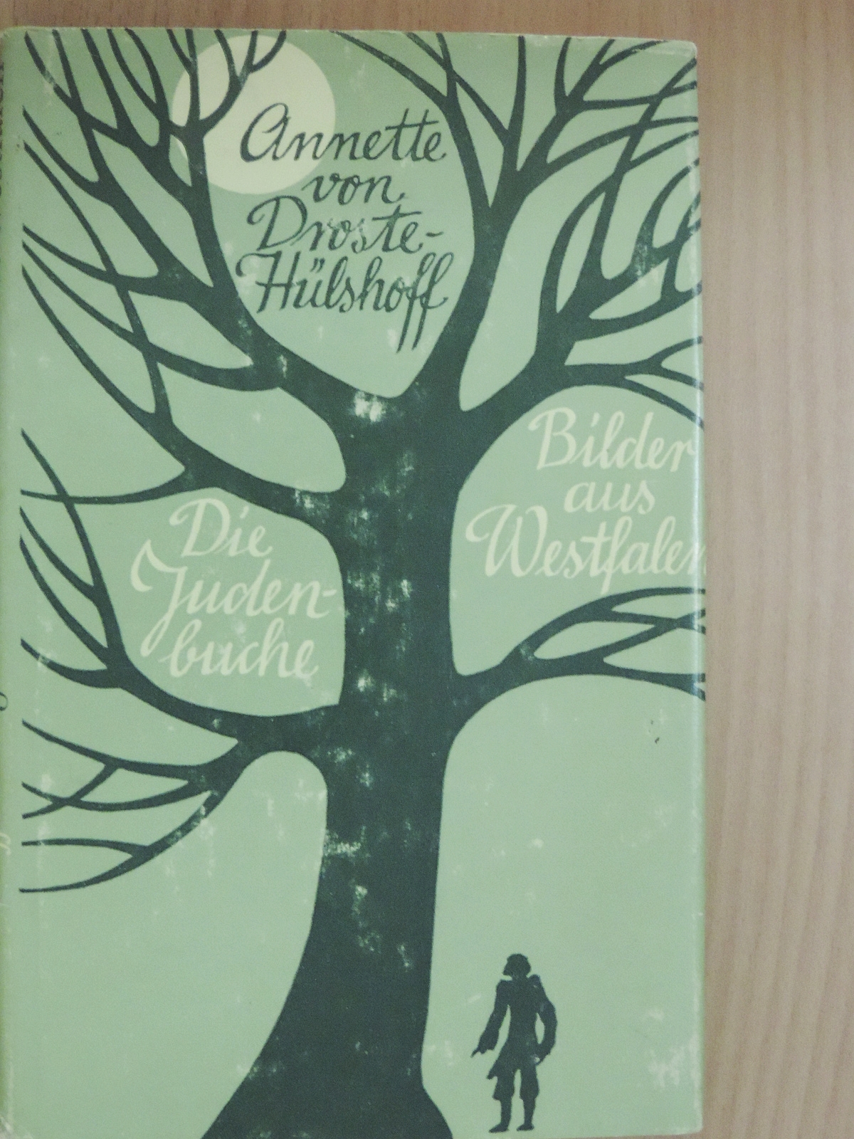 Annette von Droste-Hülshoff - Die Judenbuche/Bilder aus Westfalen [antikvár]