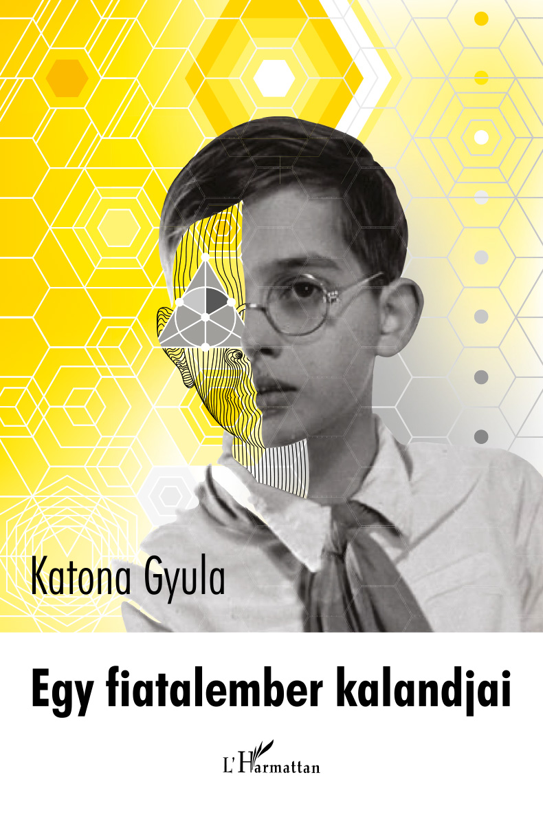Katona Gyula - Egy fiatalember kalandjai