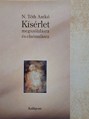 N. Tóth Anikó - Kísérlet megszólalásra és elnémulásra [antikvár]