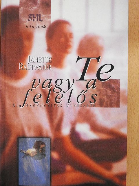 Janette Rainwater - Te vagy a felelős [antikvár]
