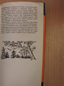 Tóth István - Huszonhárom év Kanadában [antikvár]