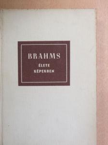 Eduard Crass - Johannes Brahms élete képekben [antikvár]