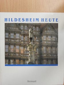Heiko Klinge - Hildesheim Heute [antikvár]