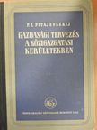P. I. Pitajevszkij - Gazdasági tervezés a közigazgatási kerületekben [antikvár]