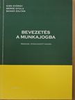 Bankó Zoltán - Bevezetés a munkajogba [antikvár]