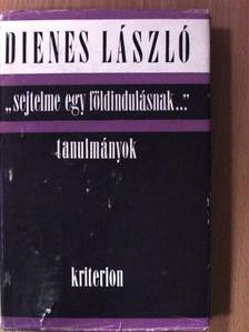 Dienes László - "Sejtelme egy földindulásnak..." [antikvár]