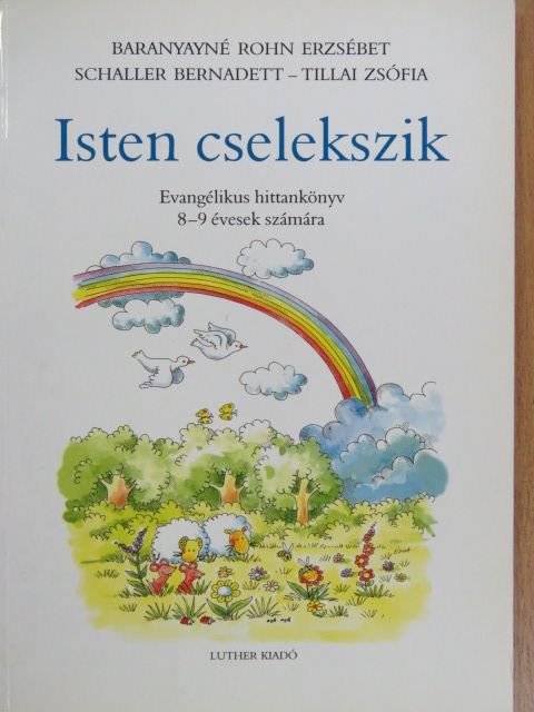 Baranyayné Rohn Erzsébet - Isten cselekszik [antikvár]
