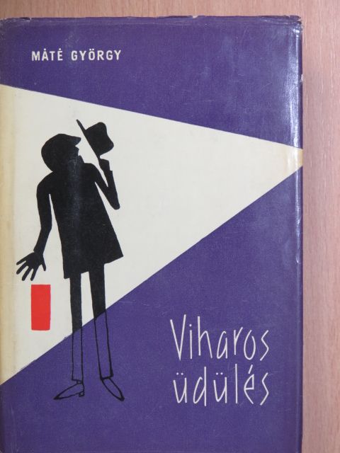 Máté György - Viharos üdülés [antikvár]