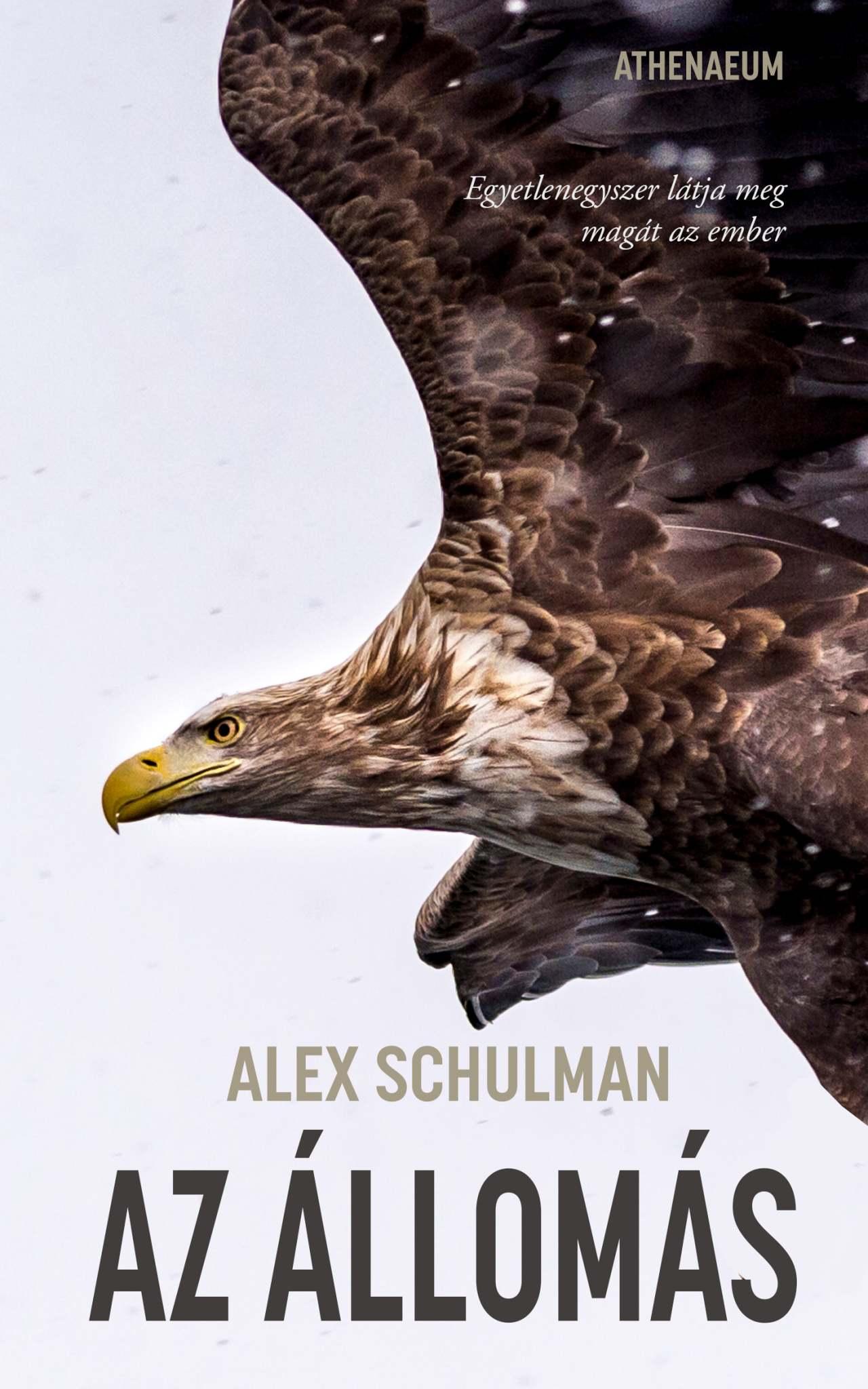Alex Schulman - Az állomás