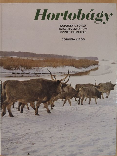 Rakonczay Zoltán - Hortobágy [antikvár]
