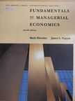 James L. Pappas - Fundamentals of Managerial Economics [antikvár]