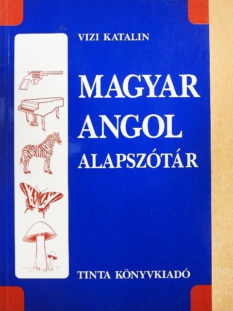 Vizi Katalin - Magyar-angol alapszótár [antikvár]