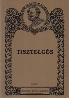 PAP ZSOLT - Tisztelgés [antikvár]