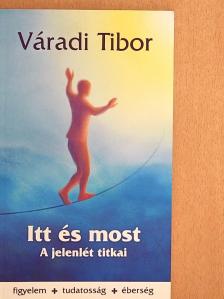 Váradi Tibor - Itt és most [antikvár]