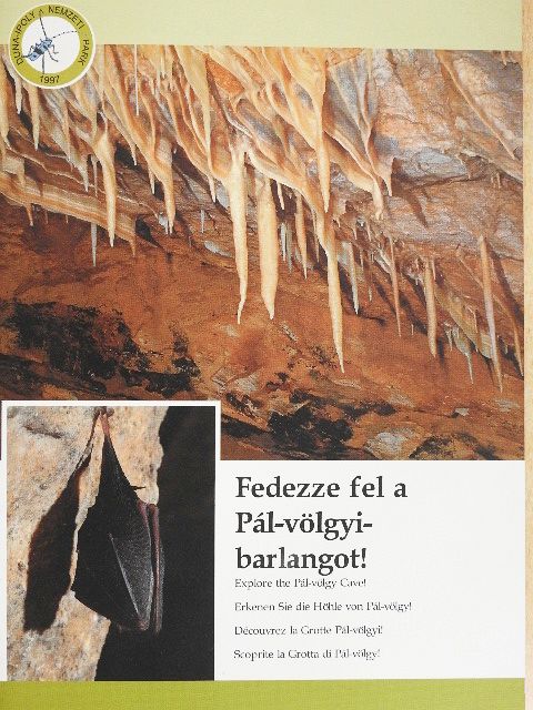 Előd Réka - Fedezze fel a Pál-völgyi-barlangot! [antikvár]