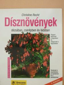 Christine Recht - Dísznövények dézsában, cserépben és ládában [antikvár]
