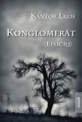 Kántor Lajos - Konglomerát (Erdély) [eKönyv: epub, mobi]