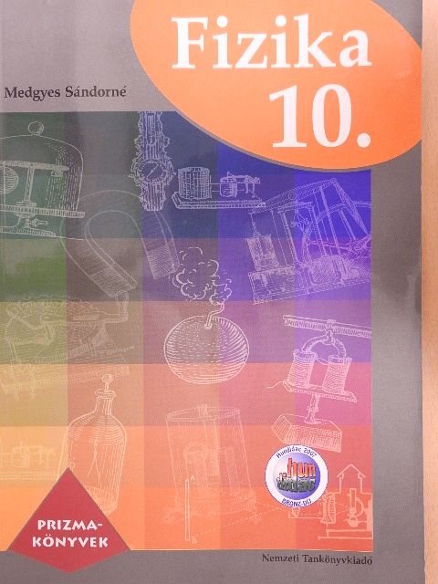 Medgyes Sándorné - Fizika 10. [antikvár]