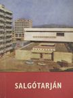 Dr. Belitzky János - Salgótarján [antikvár]