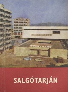 Dr. Belitzky János - Salgótarján [antikvár]