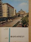 Dan Berindei - Bukarest [antikvár]