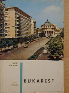 Dan Berindei - Bukarest [antikvár]