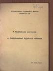 Dr. Cséky Sándor - A fővállalkozás szervezete/A fővállalkozással foglalkozó vállalatok [antikvár]