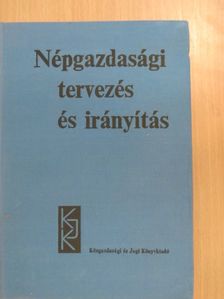 Dr. Augusztinovics Mária - Népgazdasági tervezés és irányítás [antikvár]