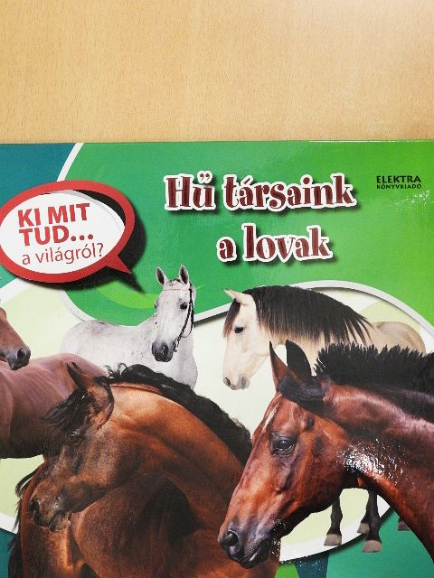 Hű társaink a lovak [antikvár]
