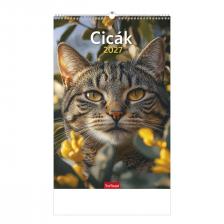 20T0094-011 - CICÁK FALINAPTÁR -  2026