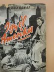 J. C. Furnas - Így él Amerika [antikvár]