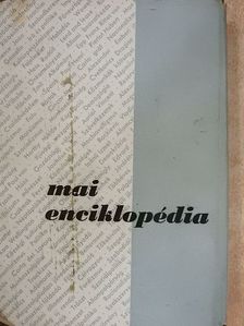 Mai enciklopédia [antikvár]