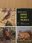 Dr. Móczár László - Képes állatvilág II. [antikvár]