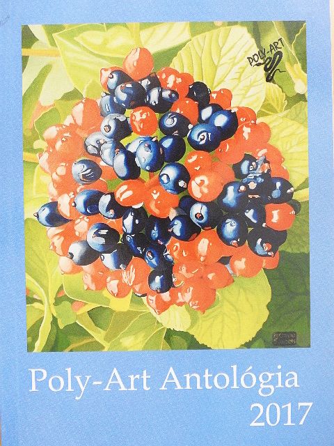 Barna Júlia - Poly-Art Antológia 2017 [antikvár]