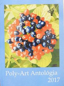 Barna Júlia - Poly-Art Antológia 2017 [antikvár]