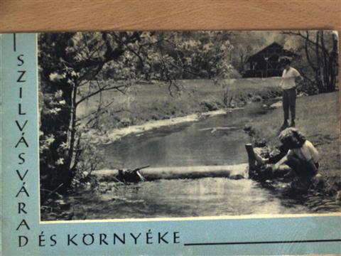Vida Gyula - Szilvásvárad és környéke [antikvár]