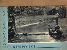 Vida Gyula - Szilvásvárad és környéke [antikvár]