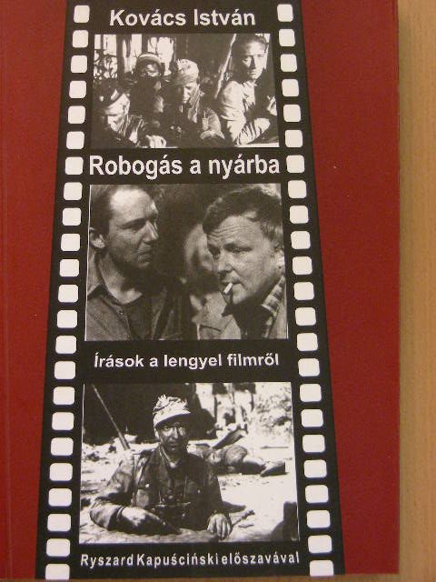 Edward Stachura - Robogás a nyárba [antikvár]