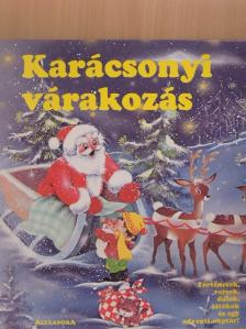 Gerda Bereit - Karácsonyi várakozás [antikvár]