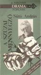 SÜTŐ ANDRÁS - A szúzai mennyegző [antikvár]
