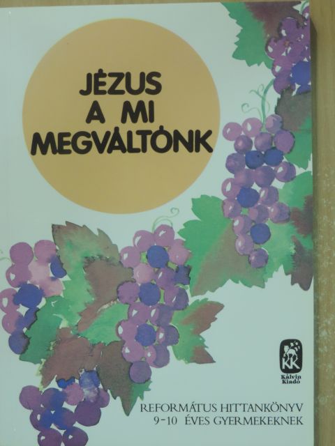 Vladár Gábor - Jézus a mi megváltónk [antikvár]