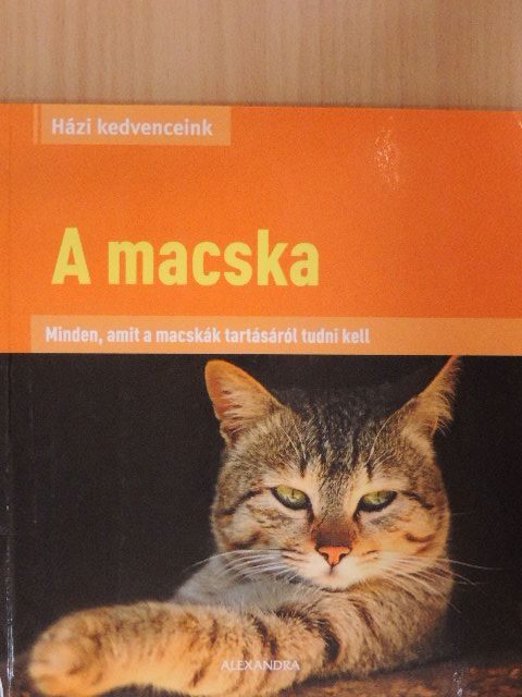 Dr. Beate Ralston - A macska [antikvár]